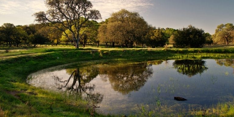 Rockville Hills Regional Park – Haunted Wilderness in Solano County, California