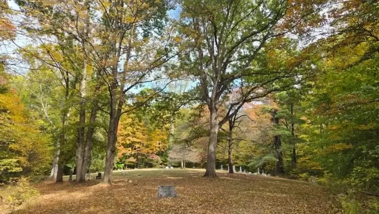 Stepp Cemetery – Haunted Cemetery in Bloomington, Indiana