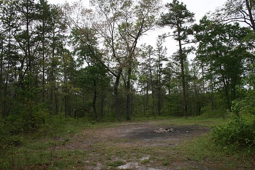 Devil’s Tramping Ground – Haunted Forest Circle in Siler City, North Carolina